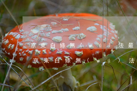 京東白條無(wú)法最低還款或者分期-京東白條無(wú)法最低還款或者分期怎么辦