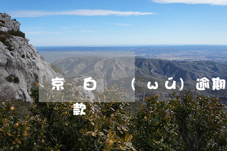 京東白條無(wú)逾期會(huì)影響貸款嗎