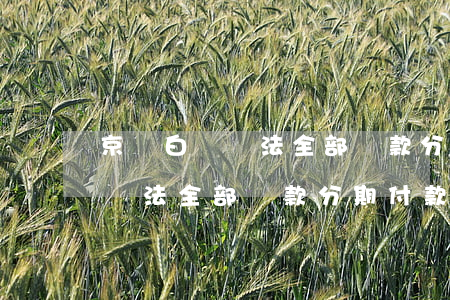 京東白條無法全部還款分期付款-京東白條無法全部還款分期付款怎么辦