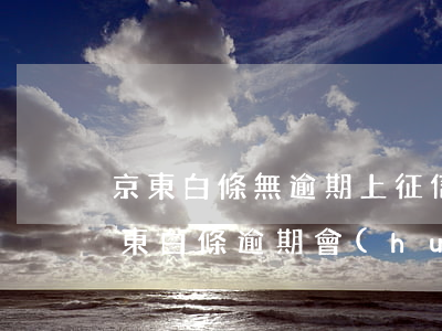京東白條無逾期上征信報(bào)告嗎 京東白條逾期會(huì)征信嗎
