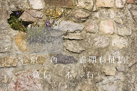 京東白條無逾期有征信記錄嗎(京東白條逾期征信會不會有記錄)