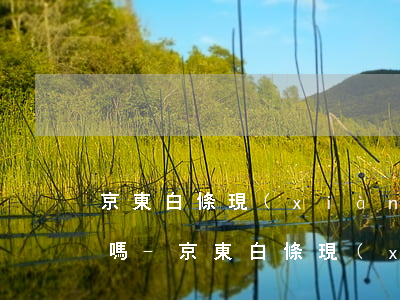 京東白條現(xiàn)在不能提前還款了嗎-京東白條現(xiàn)在不能提前還款了嗎怎么辦