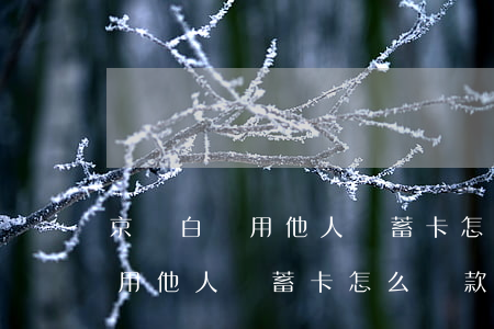 京東白條用他人儲蓄卡怎么還款-京東白條用他人儲蓄卡怎么還款啊