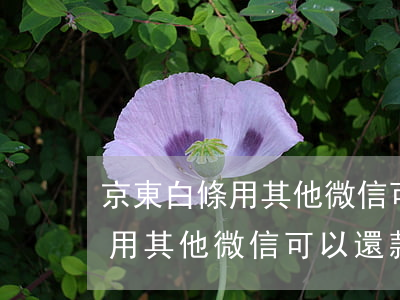 京東白條用其他微信可以還款嗎-京東白條用其他微信可以還款嗎安全嗎