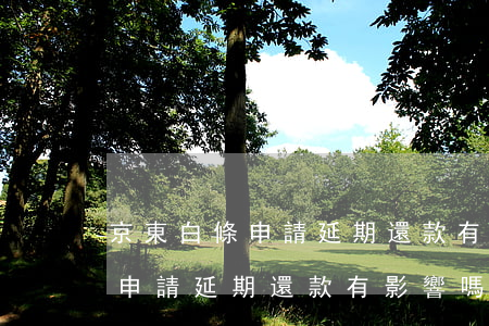 京東白條申請延期還款有影響嗎-京東白條申請延期還款有影響嗎安全嗎