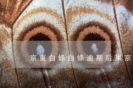 京東白條白條逾期后果(京東白條一直逾期)
