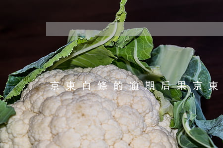 京東白條的逾期后果(京東白條不小心逾期了)