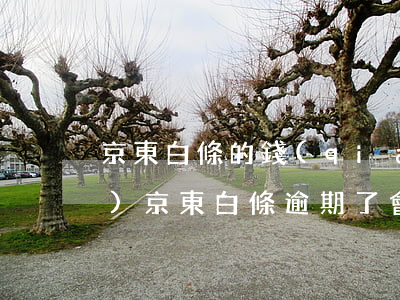 京東白條的錢(qián)逾期會(huì)(京東白條逾期了會(huì)怎樣)
