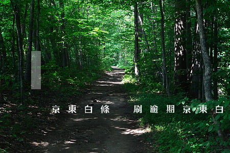 京東白條盜刷逾期(京東白條被盜刷的原因)