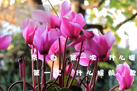 京東白條第一次為什么提前還款-京東白條第一次為什么提前還款了