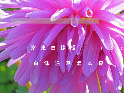 京東白條經(jīng)常逾期怎么辦（京東白條逾期怎么搞）