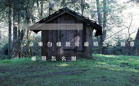 京東白條經常逾期怎么辦（京東白條總是還款逾期怎么辦）