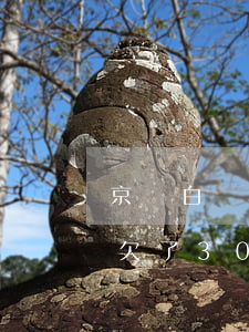 京東白條能欠多少錢(qián)(京東白條欠了3000塊錢(qián)快一年了說(shuō)是要來(lái)抓我)