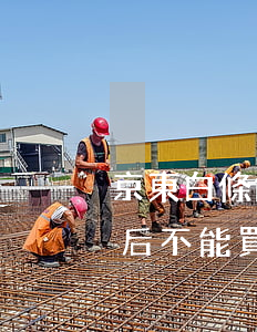京東白條能訂機(jī)票嗎（京東白條逾期后不能買機(jī)票）