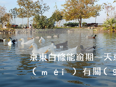 京東白條能逾期一天(京東白條逾期一天有沒(méi)有關(guān)系)