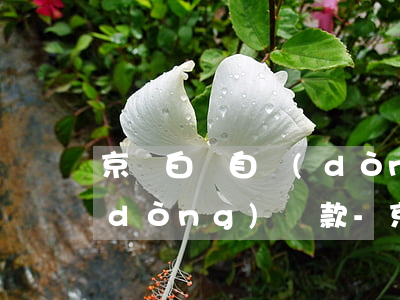 京東白條自動(dòng)還款改成手動(dòng)還款-京東白條自動(dòng)還款改成手動(dòng)還款可以嗎