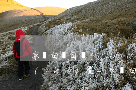 京東白條自動(dòng)還款順序怎么設(shè)置-京東白條自動(dòng)還款順序怎么設(shè)置的