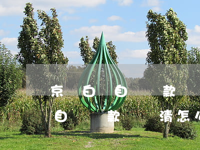 京東白條自動還款沒還清怎么辦-京東白條自動還款沒還清怎么辦啊