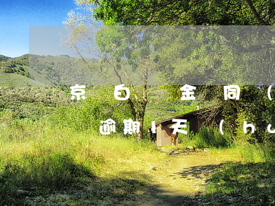 京東白條與金條同時(shí)逾期(京東白條逾期1天會(huì)有影響嗎?京東金條逾期攻略!)