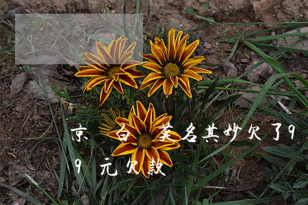 京東白條莫名其妙欠了99元(京東白條149元欠款)