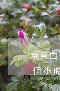京東白條被盜刷自己需要還款嗎-被騙了5個小時后止付有用嗎