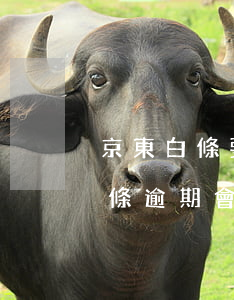 京東白條要是逾期沒還錢,后果是什么（京東白條逾期會申請財(cái)產(chǎn)保全嗎）