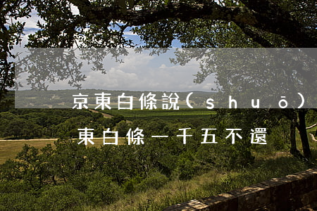 京東白條說(shuō)我欠12.5元(京東白條一千五不還)