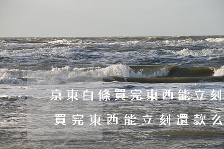 京東白條買完東西能立刻還款么-京東白條買完東西能立刻還款么嗎