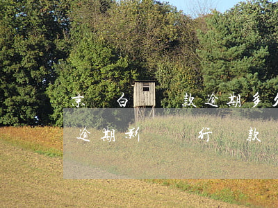 京東白條貸款逾期多久才是不良 京東白條不逾期影響銀行貸款嗎