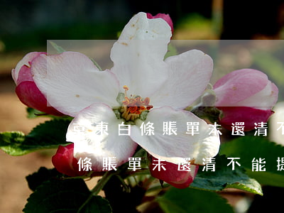 京東白條賬單未還清不能提前還款-京東白條賬單未還清不能提前還款嗎