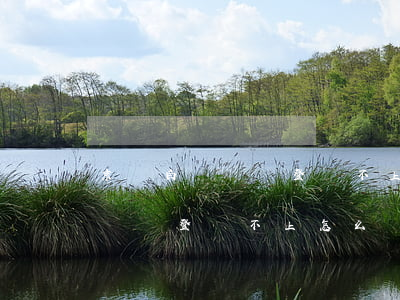 京東白條賬戶登錄不上怎么還款-京東白條賬戶登錄不上怎么還款呢