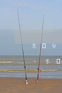 京東白條購(gòu)物200多忘記還款-京東白條購(gòu)物200多忘記還款怎么辦