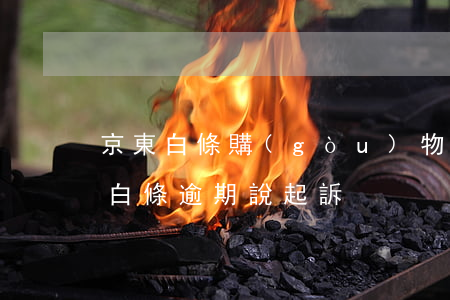 京東白條購(gòu)物逾期被起訴了(京東白條逾期說起訴)
