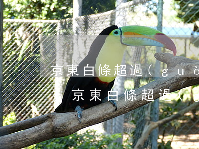 京東白條超過(guò)還款日可以分期嗎-京東白條超過(guò)還款日可以分期嗎怎么還