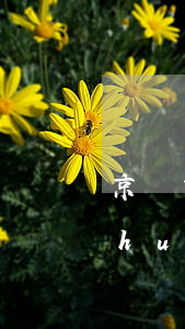 京東白條超過(guò)還款日期了還會(huì)怎樣-京東白條超過(guò)還款日期會(huì)怎么樣