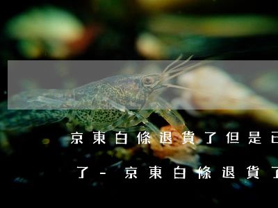 京東白條退貨了但是已經(jīng)還款了-京東白條退貨了但是已經(jīng)還款了怎么辦