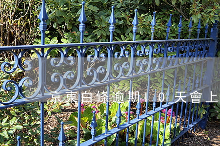 京東白條逾期10天會上征信么
