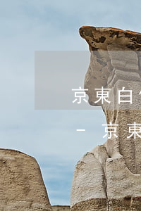 京東白條逾期10天發(fā)短信寄信函-京東白條逾期十天發(fā)通告函要求全部還款