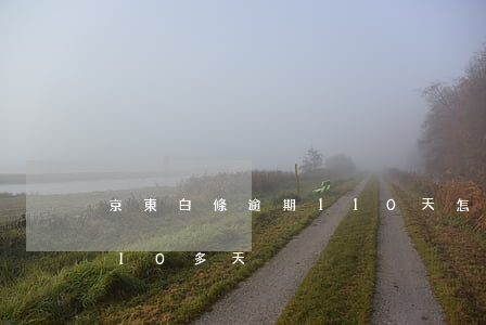京東白條逾期110天怎么樣(京東白條逾期10多天)
