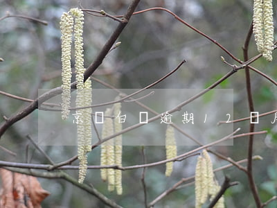 京東白條逾期12個月