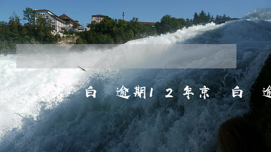 京東白條逾期12年(京東白條逾期4年)
