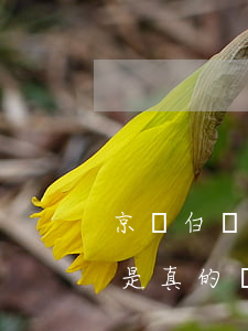 京東白條逾期131天說今日五點登門取證是真的嗎（京東白條逾期131天）