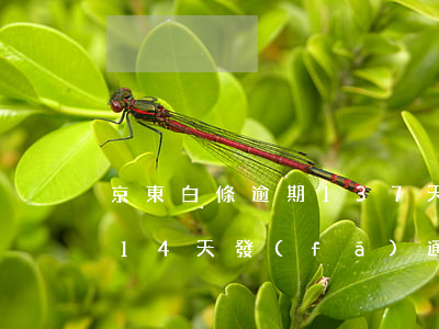 京東白條逾期137天被告-京東白條逾期14天,發(fā)通告函和判決書