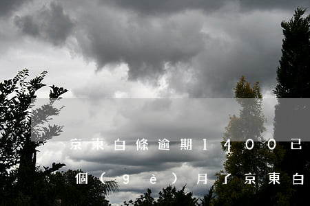 京東白條逾期1400已經(jīng)8個(gè)月了（京東白條2800逾期）