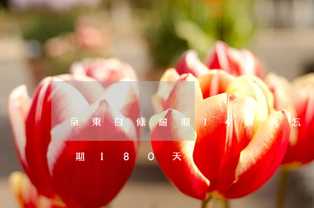 京東白條逾期148天怎么處理 京東白條逾期180天