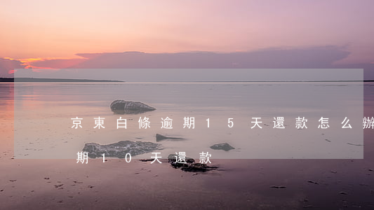京東白條逾期15天還款怎么辦(京東白條逾期10天還款)