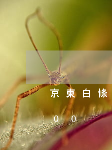京東白條逾期1900元 京東白條逾期1500