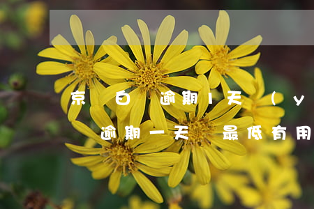 京東白條逾期1天嚴(yán)重嗎（京東白條逾期一天還最低有用嗎）