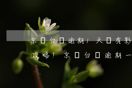 京東白條逾期1天會有影響嗎?京東金條逾期攻略!（京東白條逾期一天無法申請金條）