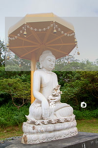 京東白條逾期1天違約(京東白條逾期5天)